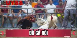 Đá Gà Nòi